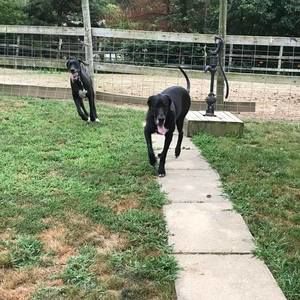 Meet your Posher, Dori